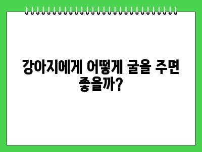 강아지 굴 먹어도 되나요? (익힌굴)