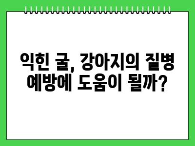 강아지 굴 먹어도 되나요? (익힌굴)