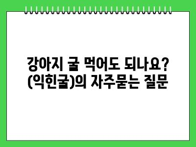 강아지 굴 먹어도 되나요? (익힌굴)