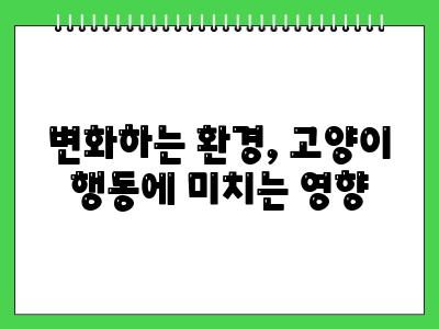 고양이가 바닥을 긁는 행동 이런 반전이 있을줄이야
