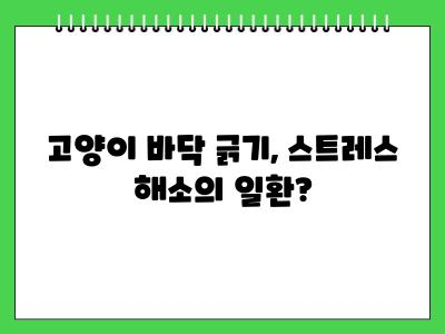 고양이가 바닥을 긁는 행동 이런 반전이 있을줄이야