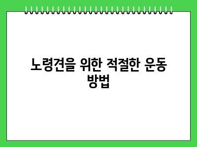 노령견이 걸리기 쉬운 질병 이것보고 건강관리 해주세요