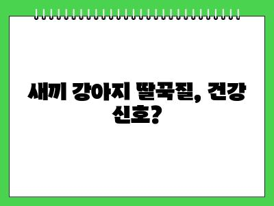 새끼 강아지 딸꾹질 하는 이유
