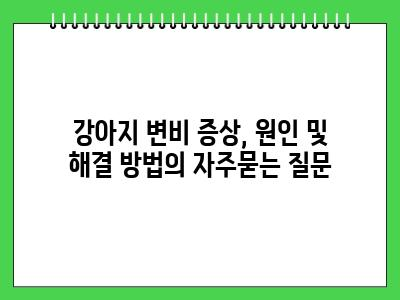 강아지 변비 증상, 원인 및 해결 방법