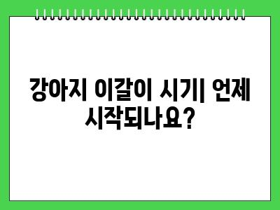 강아지 이빨 빠짐, 이갈이 시기와 순서 알아봐요