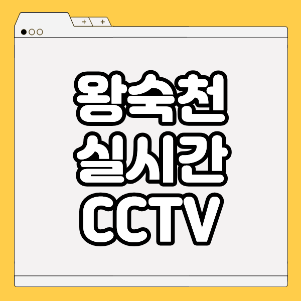 왕숙천 수택동 실시간 CCTV